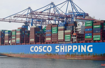 "Cabinet must discuss this": Greens attack the Chancellery over the Cosco port deal
