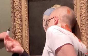 "Girl with a Pearl Earring": Activists attack Vermeer painting