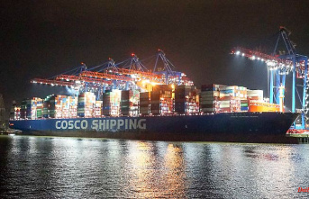 Cosco receives a smaller share: traffic lights are still strangers to the port "emergency solution"