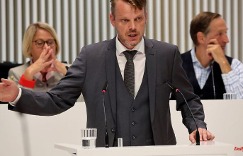Mecklenburg-Western Pomerania: Kramer remains leader of the AfD parliamentary group in the state parliament