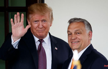"Hope for peace": Orban pleads for Trump as a Putin whisperer