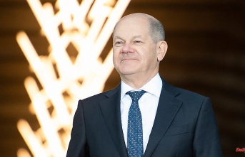 Traffic light dispute about the port of Hamburg: Scholz insists on a slimmed-down China deal