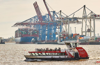 China wants to get into Hamburg: SPD Senator rails against "self-appointed port experts"
