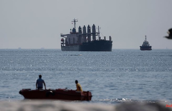 Despite Russia's blockade: Grain freighters should continue to go out