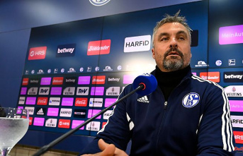 Strange sentences about Schröder: Schalke's boss confused, Reis tears open the wound