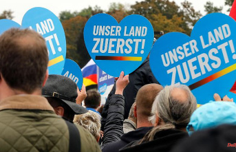 The fever is rising: comeback of the pessimist party AfD