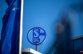 Legends disassemble the club: Schalke 04 does not have free choice of coach