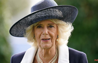 Shocking moment for Queen Consort: Bird crashes into nose of Camilla's plane