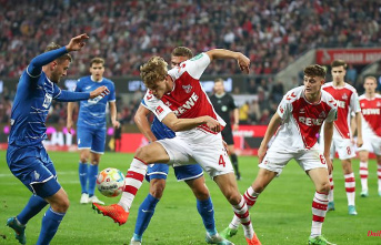 Two days after the European Cup: Cologne defy TSG Hoffenheim for a point