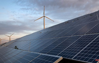 "The potential is even greater": the EU is producing more green electricity than ever before