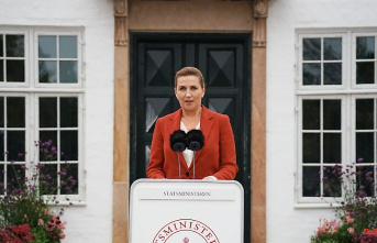 Pressure from the coalition partner: Denmark quickly elects a new parliament