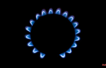 Private customers hardly reduce: Study: Gas consumption still has to drop by 30 percent