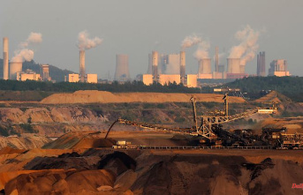 Bind CO2 with stones?: "That would be mining as big as the coal industry"