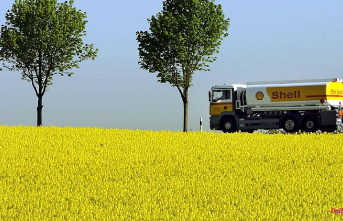 Saxony-Anhalt: More biofuel from Saxony-Anhalt