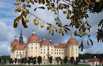 Saxony: Charles V. back in Moritzburg Castle