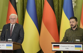 "Strengthening a common Europe": Steinmeier and Selenskyj call for town twinning