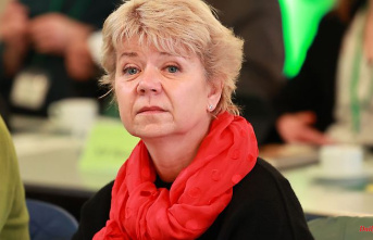 Saxony-Anhalt: Lüddemann: Greens deal too often with themselves