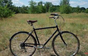 Inexpensive and quite good: Traveling with an entry-level city bike