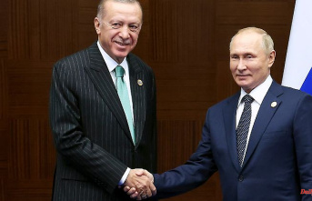 Help for countries in need: Putin and Erdogan want to deliver grain free of charge