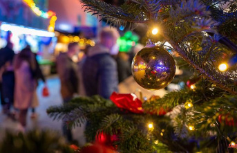 Hesse: Frankfurt Christmas market opens