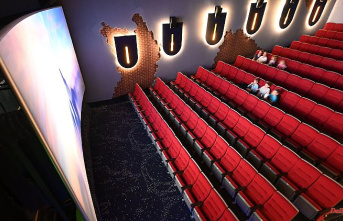 Baden-Württemberg: Festival director: Promote cinemas like other cultural assets
