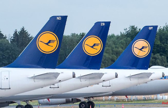 Higher salaries decided: Lufthansa agrees with cabin crew