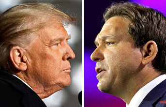 Running for President: These are Trump's Republican rivals