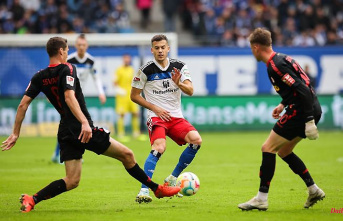 Bayern: "Frustrating": Regensburg is defeated by HSV without a coach