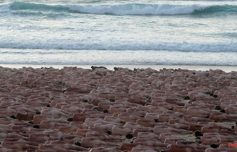 Art by Spencer Tunick: 2,500 naked people lie on Bondi Beach