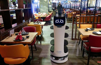 Robots in the restaurant: are battery-operated waiters the future?