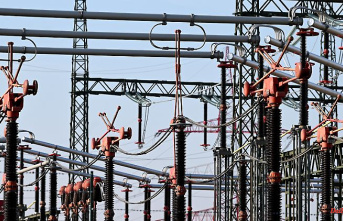 Electricity stress test passed: Austria sees no risk of blackout