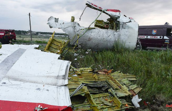 Rocket hits over eastern Ukraine: downing flight MH17 - Life imprisonment for three men