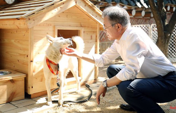 Gift from Kim Jong Un: South Korea's ex-president wants to get rid of dogs