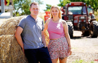 "Farmer is looking for a wife": Final sprint for great love