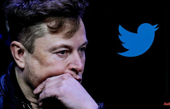 Drastic job cuts imminent: will Elon Musk fire half of Twitter employees?