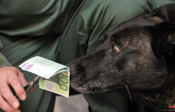 Baden-Württemberg: Police dogs are now also sniffing out cash in the state