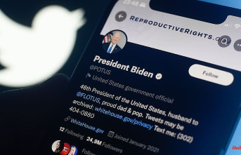 Saudi influence on Twitter?: Biden would have Musk's foreign relations checked