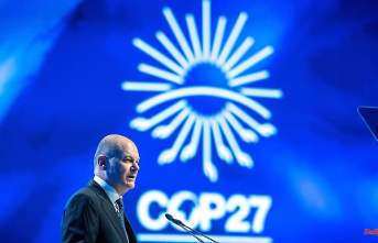 UN climate conference in Egypt: environmentalists: Scholz deceives the international public