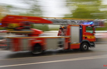 Baden-Württemberg: Burning truck on the A81