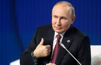 Meeting in Indonesia: Putin does not come to the G20 summit