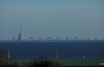 Attack on Zaporizhia nuclear plant: Nuclear experts see explosions from windows