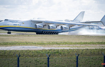 "The dream will never die": Ukrainians want to repair giant jet An-225