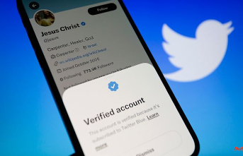 Wave of fake accounts: Twitter pauses subscription verification again