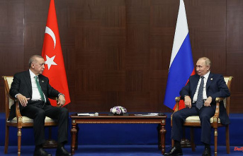 "Trust and solidarity": Erdogan is proud of Putin relationship