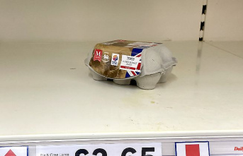 Sales already rationed: the British are running out of eggs