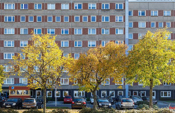 On average 190 euros more: Bundestag decides on higher housing allowance
