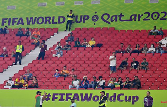 The diary of the World Cup in Qatar: the brazen spectator lie raises new questions