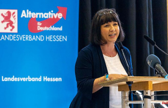 Step "not easy": Member of the Bundestag Joana Cotar resigns from AfD