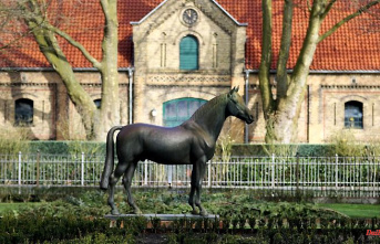 North Rhine-Westphalia: Stallions threatened part-time due to the economic crisis