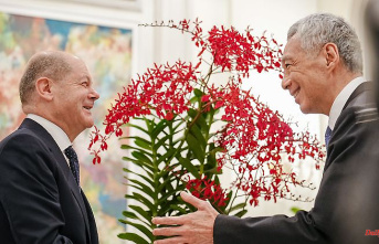 "Renanthera Olaf Scholz": Singapore names an orchid after the chancellor